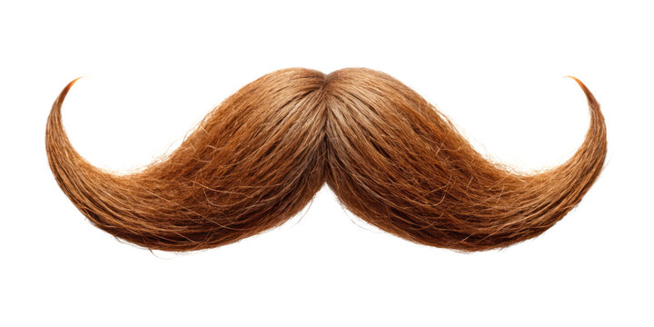 brown moustache isolated on transparent background
