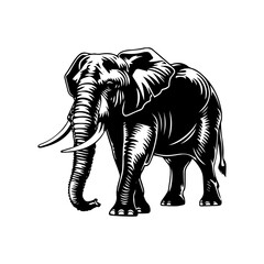 Fototapeta premium illustration of an elephant