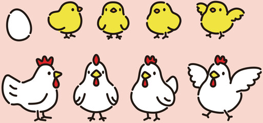 シンプルでかわいい鶏とひよこのイラストセット