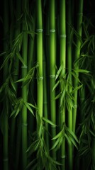 Obraz premium Green bamboo backgrounds nature plant.