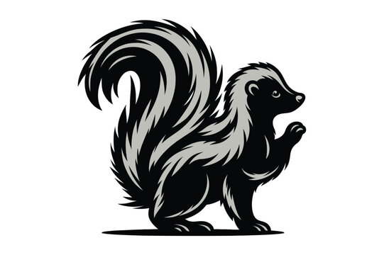 Adobe Illustrator Vector illustration of zorilla isolated on white background.Artwork