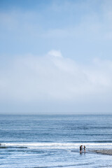 제주도 올레길 풍경