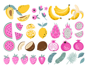Set of various tropical fruits and berries isolated on a white background. Vector illustration