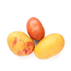 Fresh raw potatoes on white background