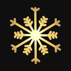 Snowflakes Christmas illustration on black