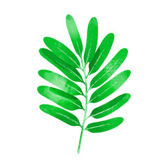 Watercolor realistic Monochromatic tropical leaves design