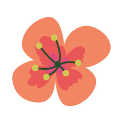 Hand drawn spring flower, Colorful spring flower