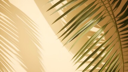 Obraz premium Abstract background of fresh palm leaves and shadows UHD Wallpaper