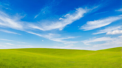 Obraz premium Digital composition of green meadow and blue sky backgrounds. Panoramic natural landscape with green grass field. Ai generative