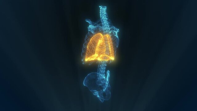 Closeup technology Xray Particle Lung body part inside Analysis motion graphic design. Science idea concept.	
