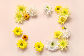 Frame made of beautiful chrysanthemum flowers on pink background