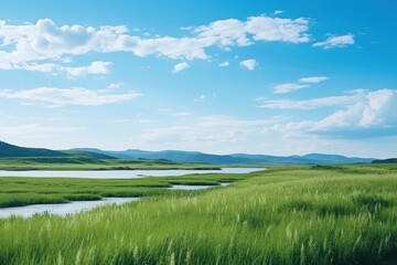 Landscape grass grassland outdoors.