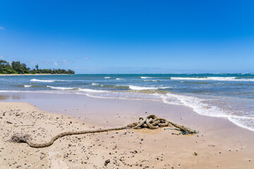 Punaluu Beach，Windward Coast of Oahu, Hawaii.  Marine debris / marine litter washed up on a beach 
