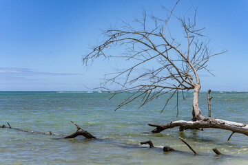 Kahana Bay and Kahana Bay Beach Park are located on the windward side of the island of Oahu in the state of Hawaii.