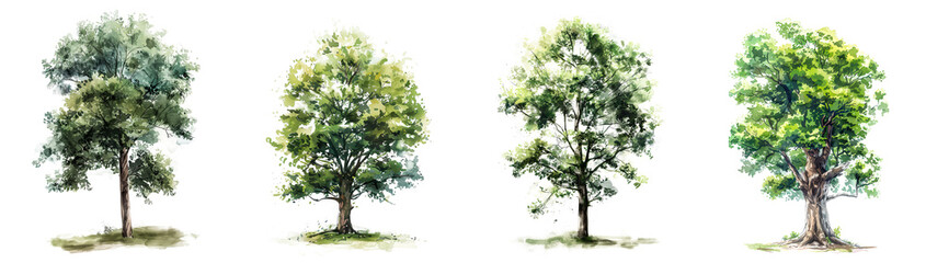 Set of green trees sketch drawing in watercolor ink painting element design, isolated on white background, png
