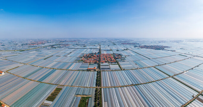 Shouguang greenhouse