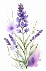 Naklejka premium Lavender watercolor background. Delicate flower bouquet on a white background. Spring-summer banner template