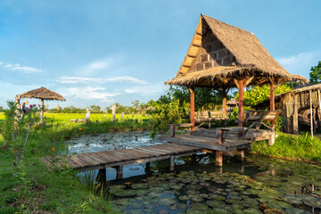 A pavilion by a lotus pond, surrounded by nature in rural Thailand.