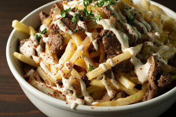 A closeup view of a bowl of beef shawarma fries.