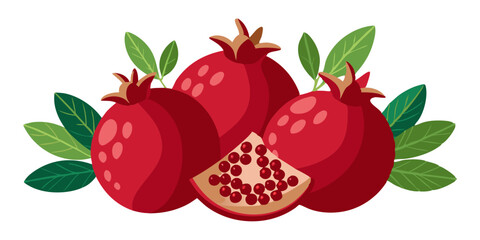 illustration of pomegranates