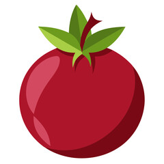 illustration of pomegranate