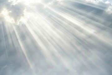 Fototapeta premium Holy light sunlight outdoors nature.