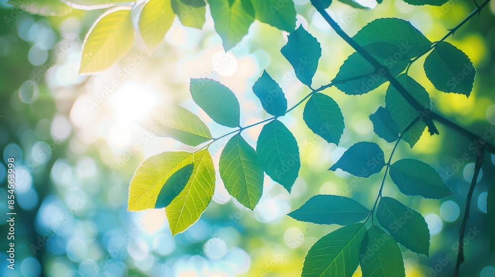 Poster The sunlit green leaves