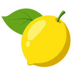 illustration of lemon