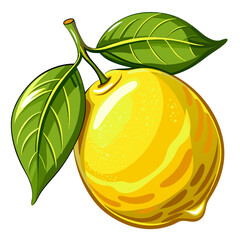 illustration of lemon
