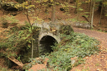 Schöner Herbsttag in den Wäldern bei Hohnstein in der Sächsischen Schweiz	