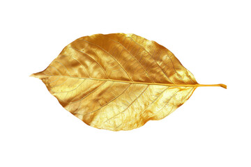 Fototapeta premium Close-up of a single golden leaf isolated on a white background, showcasing its intricate veins and smooth texture.