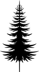 Pine Tree Silhouette