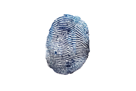 High-resolution blue fingerprint on a transparent background, ideal for forensic, security, and identity verification themes.