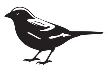 Bird silhouette vector isolated on a white background
