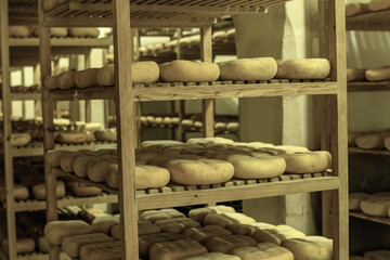 Cheese Aging Room in Menorca