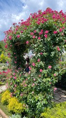 Roses are my favorite flowers
