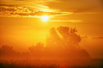Beautiful summer sunrise background on a foggy morning in the countryside.