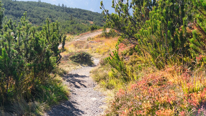 path to nowhere in the mountain