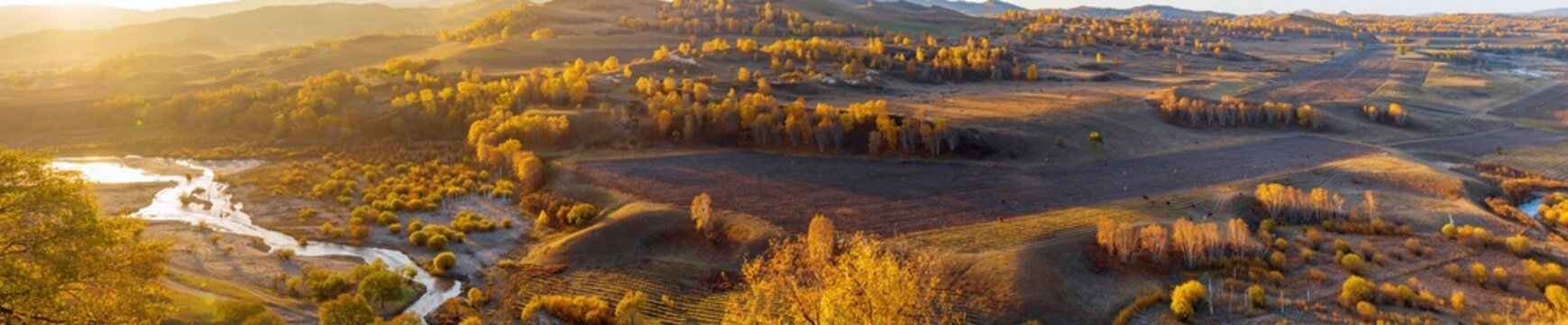 Bashang Grassland