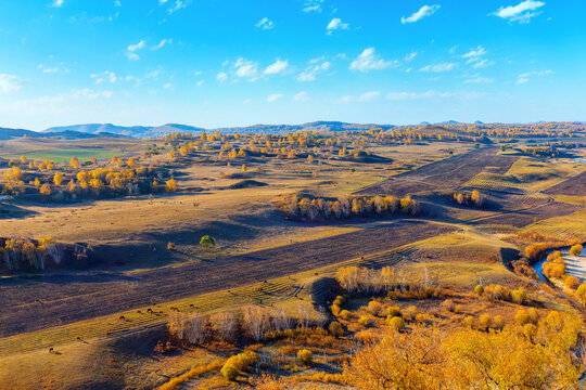 Bashang Grassland