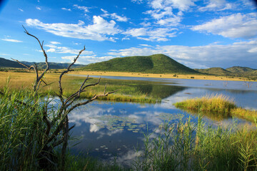 Kgalagadi Transfrontier Park one of the great parks of South Africa wildlife and hospitality in the Kalahari desert