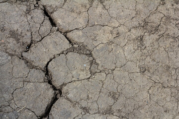Wall texture soil dry crack pattern of drought lack of water of nature brown old broken background