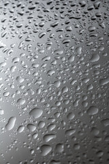 Drops of water on a color background. Selective focus. Gray