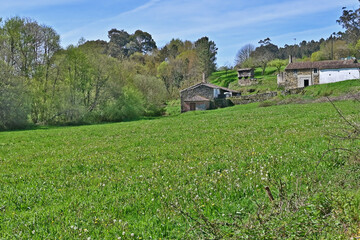 Obraz premium Paesaggi di Galizia, vecchie fattorie ed Horreo sul cammino Primitivo di Santiago di Compostela - Galizia, Spagna