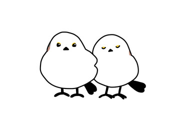 二羽のかわいいシマエナガのイラスト素材