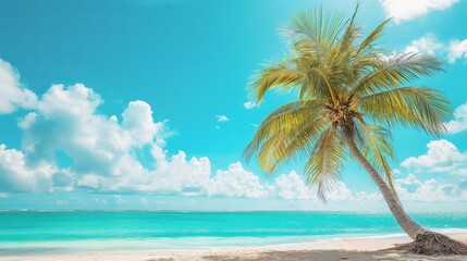 Beautiful palm tree on tropical island beach