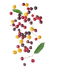 Flying different fresh cherries and leaves on white background