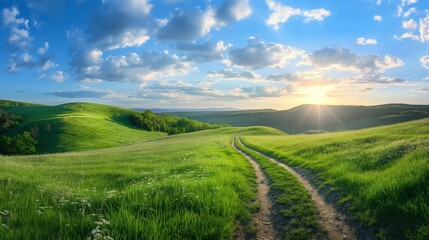 Winding path through a green grass field 