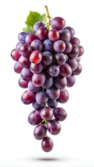 Fototapeta premium Black Grape flying in the air isolated on white background. selective focus, clipping path