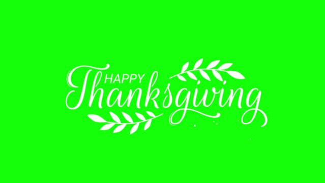 Happy Thanksgiving Text Short Phrase, Spread Festive Cheer with Handwritten Elegance.